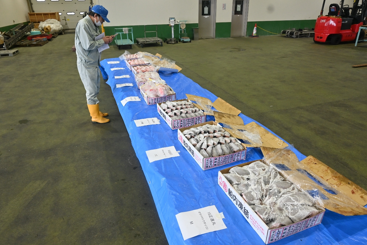船凍物97トン、本年度初上場　八戸港・大型底刺し網船「第１８正進丸」