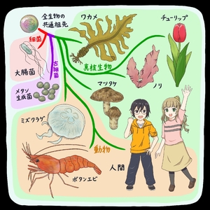 【古代のモンスター】生物の枝分かれの歴史 「系統樹」で読み解く