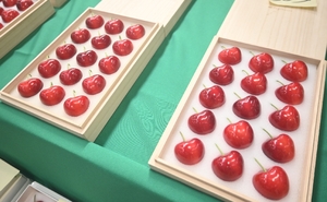 1箱50万円 青森ハートビート初競り