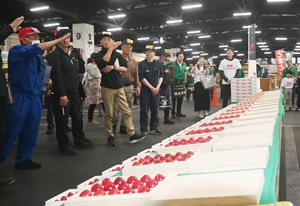 1粒ならおいくらに? 「青森ハートビート」初競り、1箱最大50万円