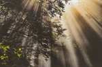 南八甲田の豊かな生態系撮影 十和田で岩木登さん写真展《📸×6》
