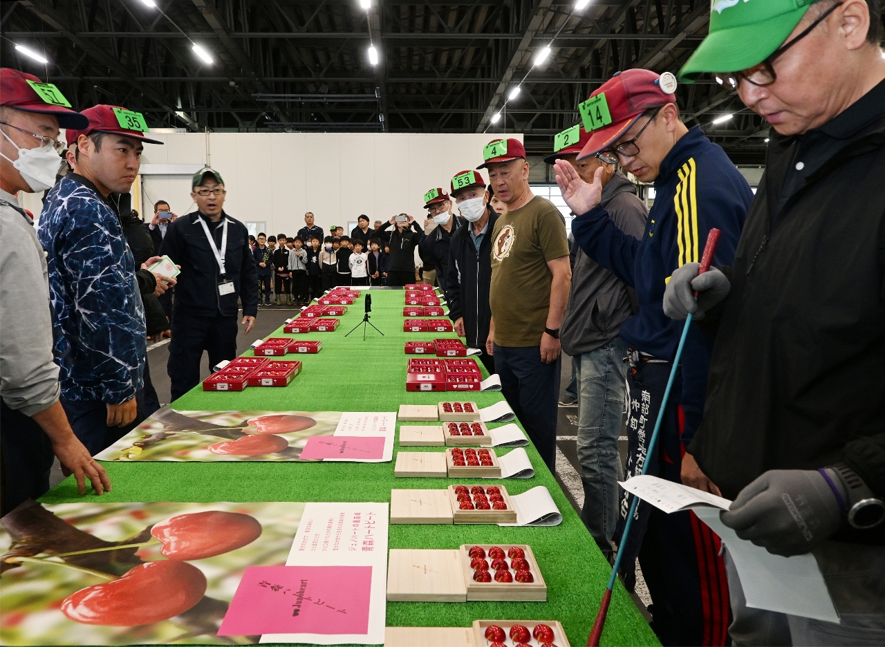 過去最高額を更新したジュノハートの初競り=22日、南部町