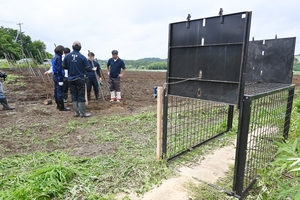 イノシシ、ナガイモ畑の種芋食い荒らす/十和田