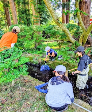 地元の豊かさ肌で実感 十和田・西小児童が名水公園で生物調査