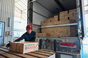 自慢のニンジン、全国へGO 十和田おいらせ農協が出荷開始