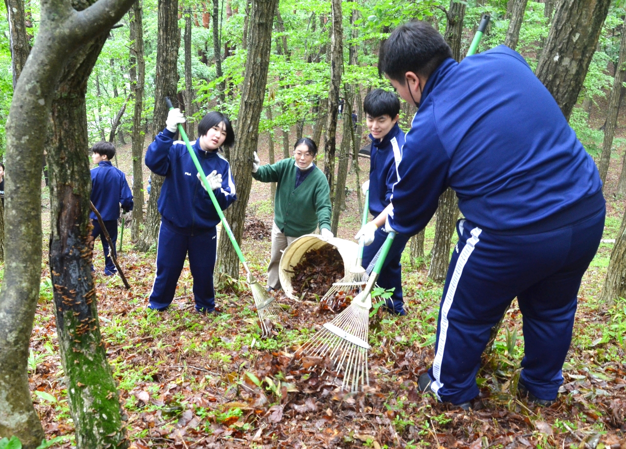 マツタケが育つ環境を目指して落ち葉を集める生徒ら