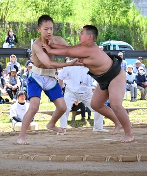 全校児童参加で取組白熱 二戸・浄法寺小で相撲大会