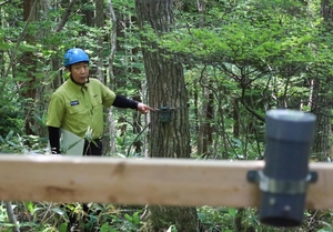 クマの個体数調査を開始 環境省、東北中心の生息地