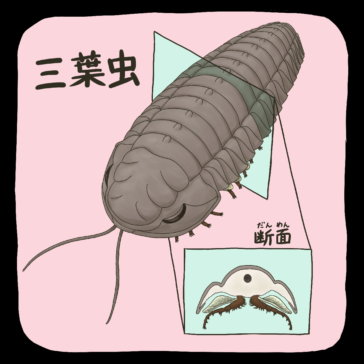 　（ｃ）迫野貴大