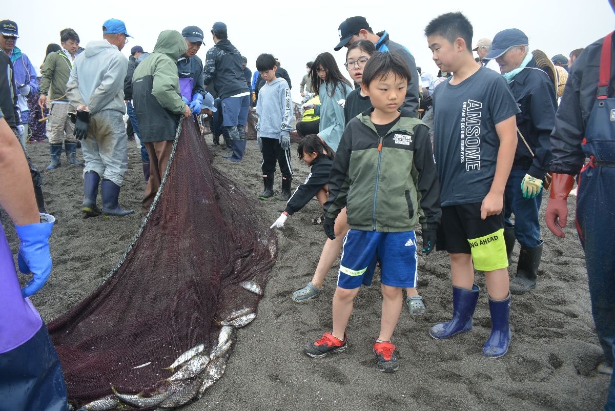 水揚げされた魚を確認する参加者