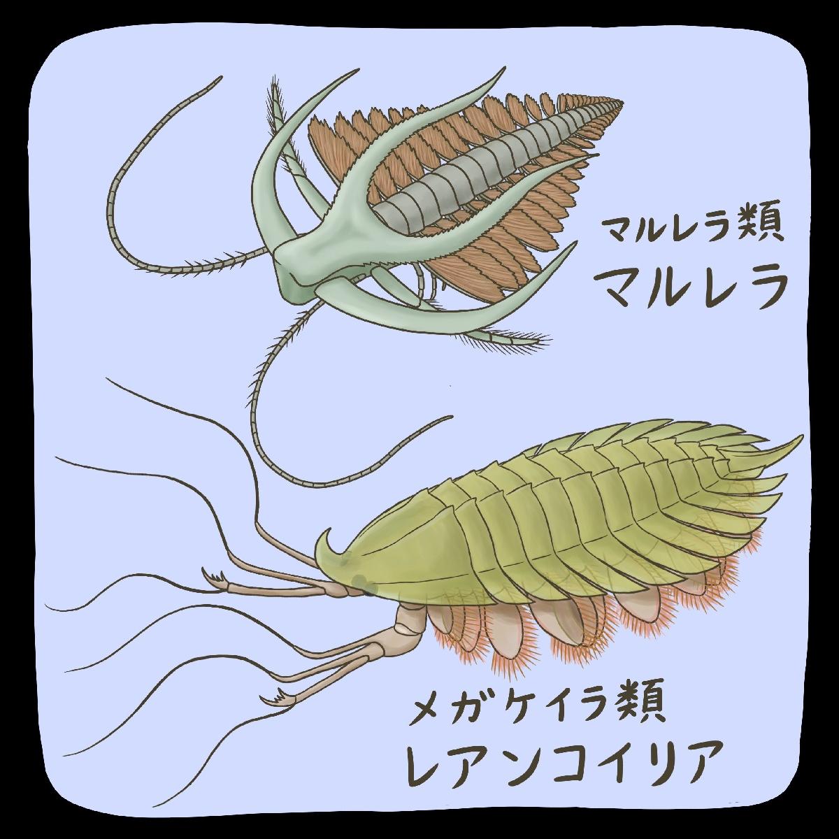 (c)迫野貴大
