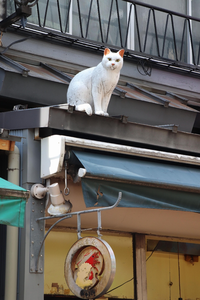 谷中銀座商店街にある木彫りの猫=東京都台東区