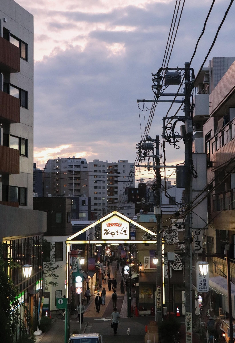 　「夕やけだんだん」から見た景色＝東京都荒川区
