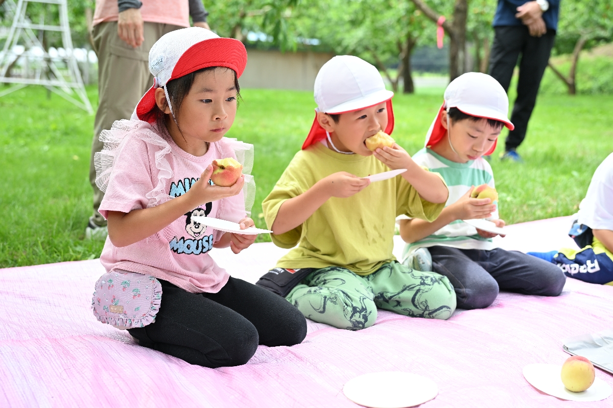 極早生品種「はなよめ」を食べる園児たち
