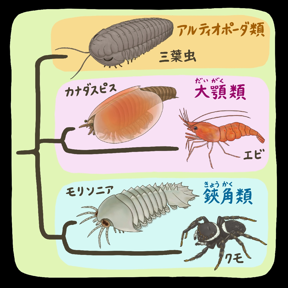 (c)迫野貴大