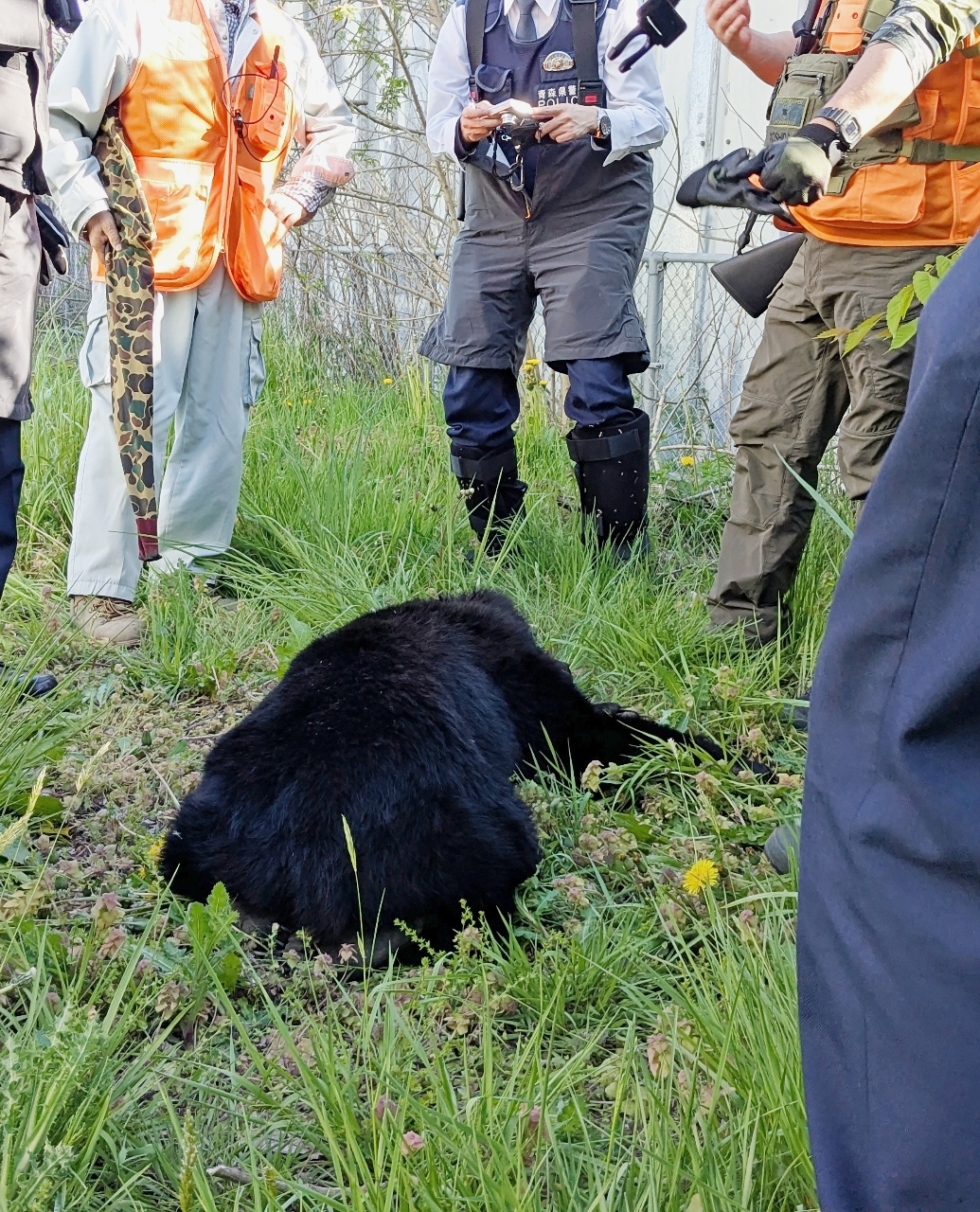5月に青森県内で初めて行われた八戸市の緊急銃猟。野生鳥獣対策の担い手となるハンターの一層の確保が求められている(市提供)