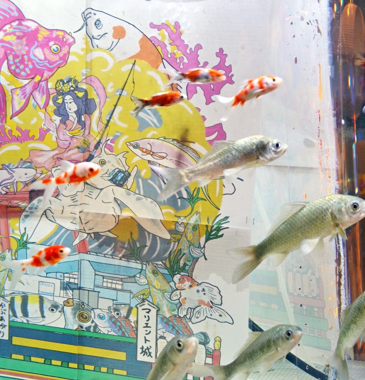 八戸三社大祭に見立てた水槽を泳ぐ魚たち