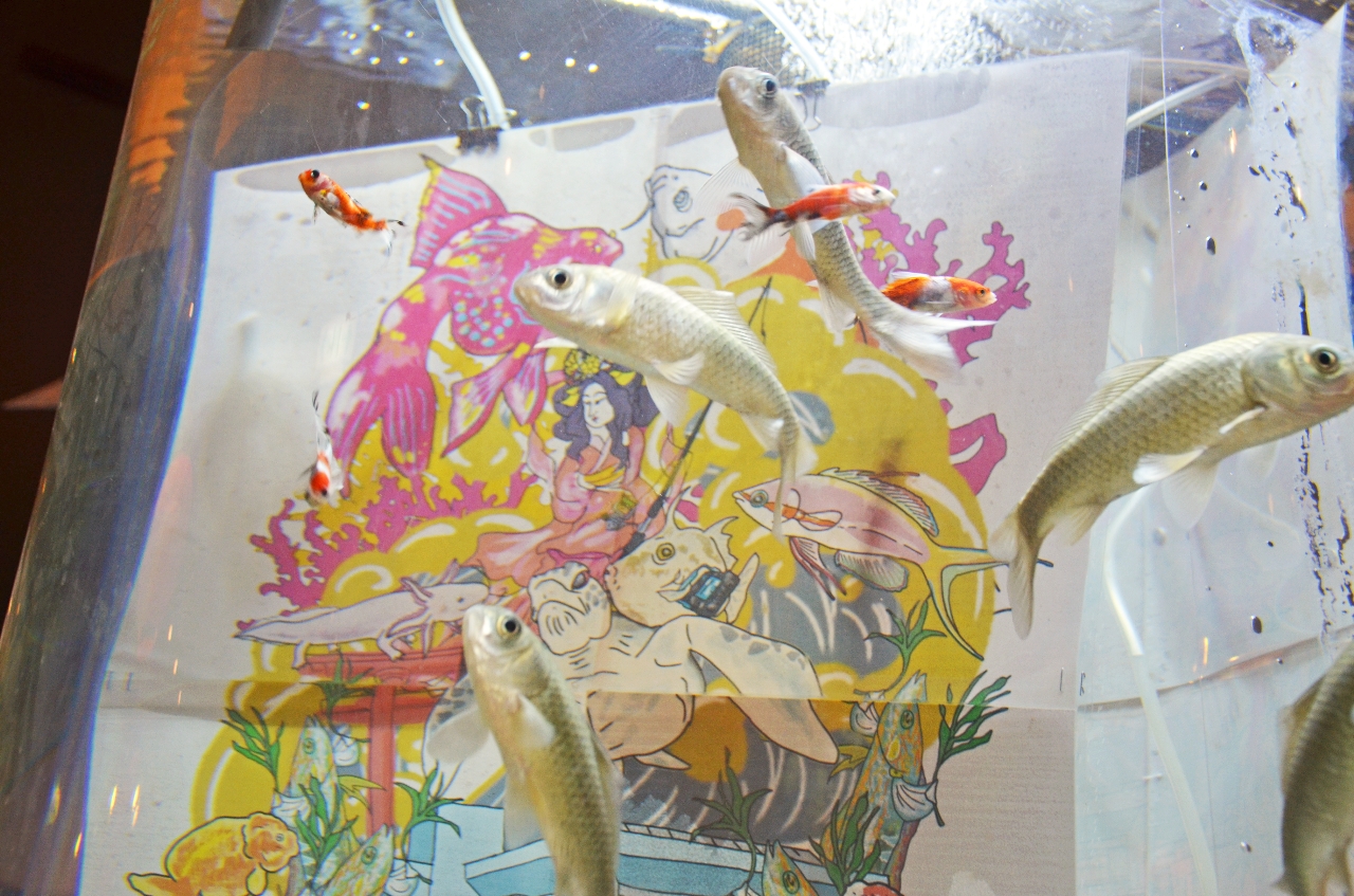 八戸三社大祭に見立てた水槽を泳ぐ魚たち