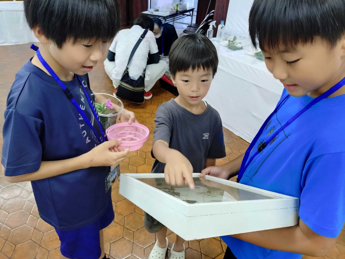 昆虫など多彩な生き物の展示を楽しむ子どもたち