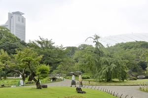 【Ｔｏｋｙｏ　とことこ散歩】庭園での出会いにほっこり　小石川後楽園、和菓子店も　