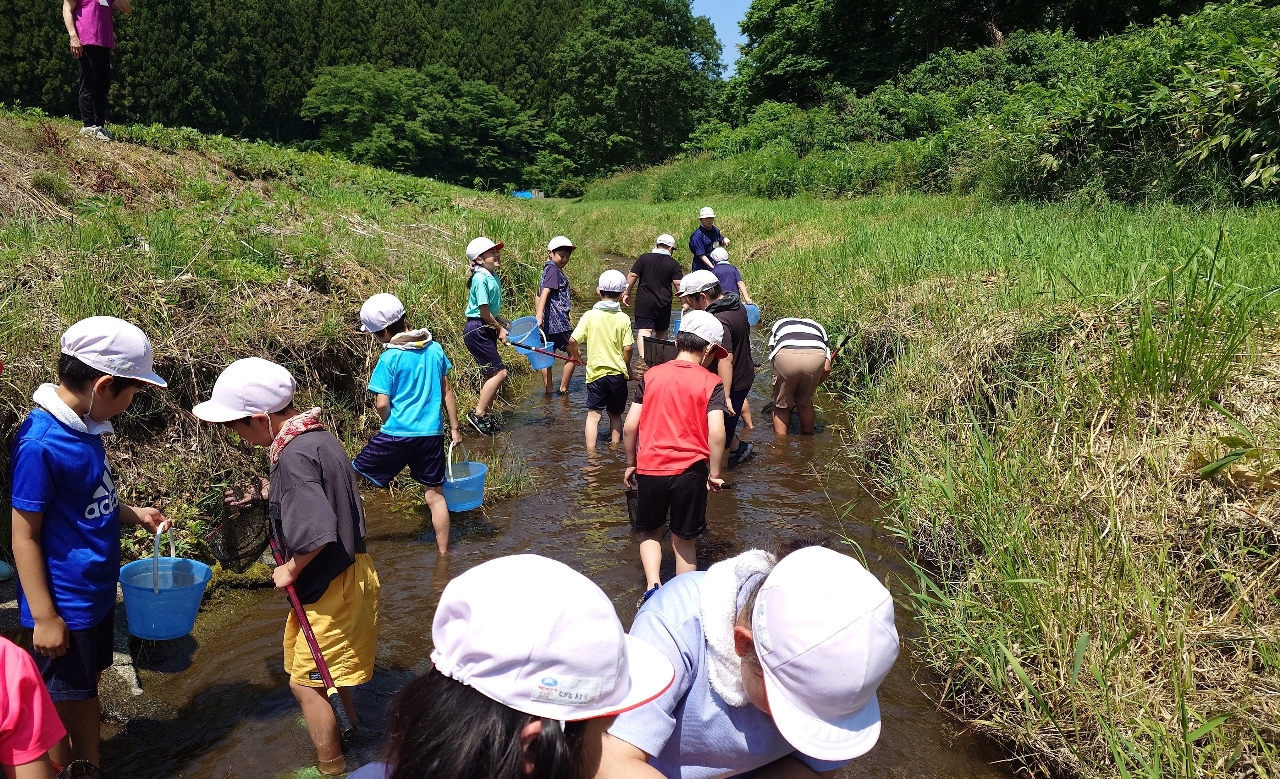 「がんじゃ里山の会」活動終了 現地にイノシシやクマ、安全に配慮/八戸・蟹沢地区