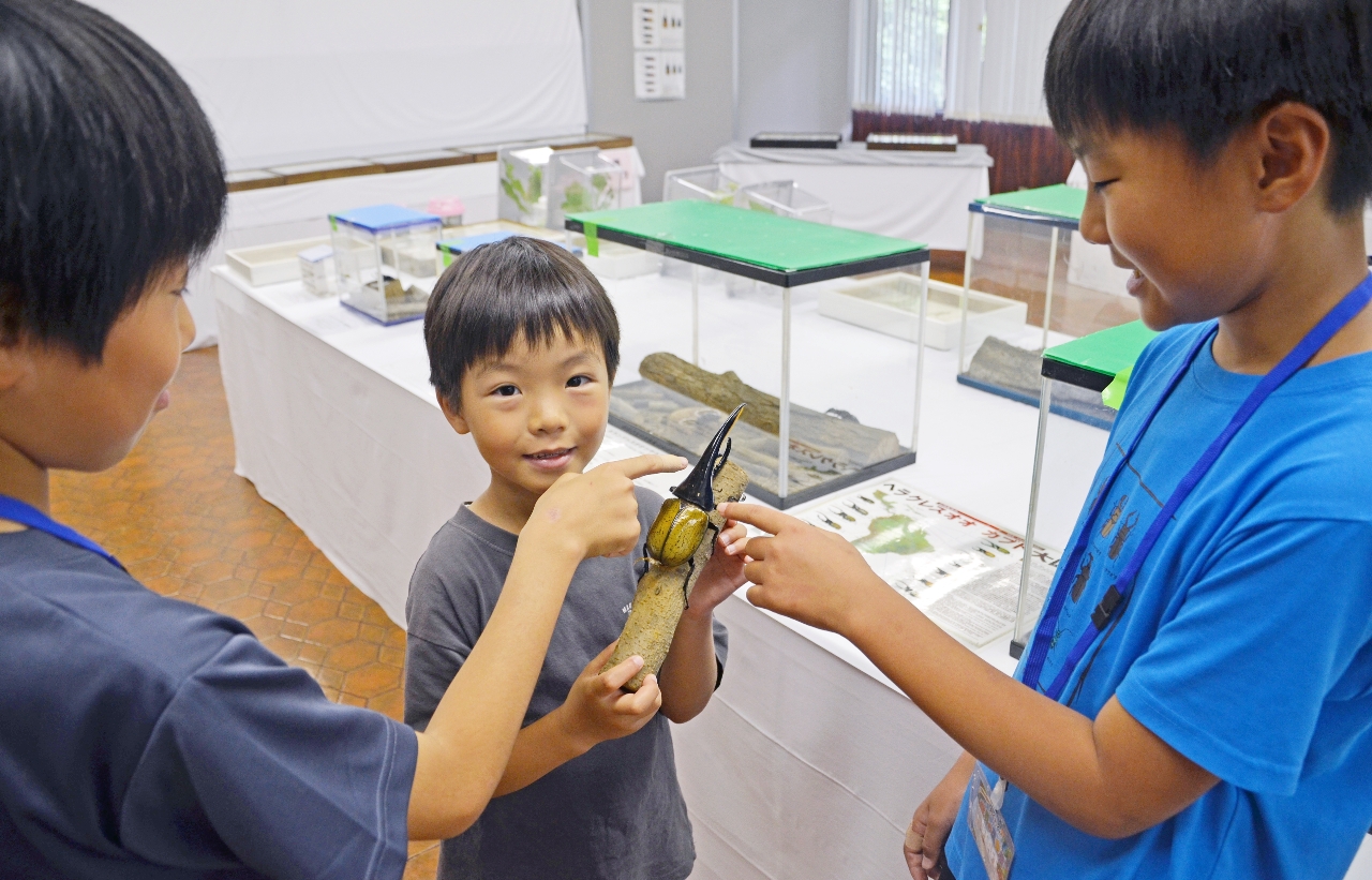 ヘラクレスオオカブトについて解説する田崎晴琉さん(右)と先川原結斗さん(左)