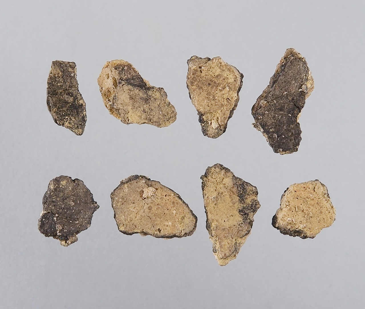 大平山元遺跡で見つかった、北東アジアで最古の土器欠片（ＪＯＭＯＮ　ＡＲＣＨＩＶＥＳ提供）