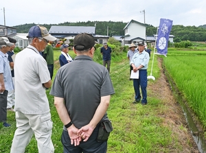 市場デビュー2年目「白銀のひかり」、久慈で水稲栽培研修会