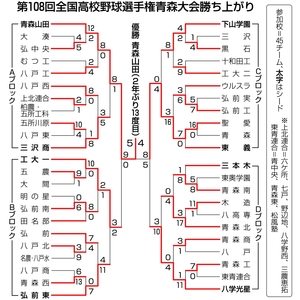 青森山田２年ぶり１３度目のＶ／高校野球青森