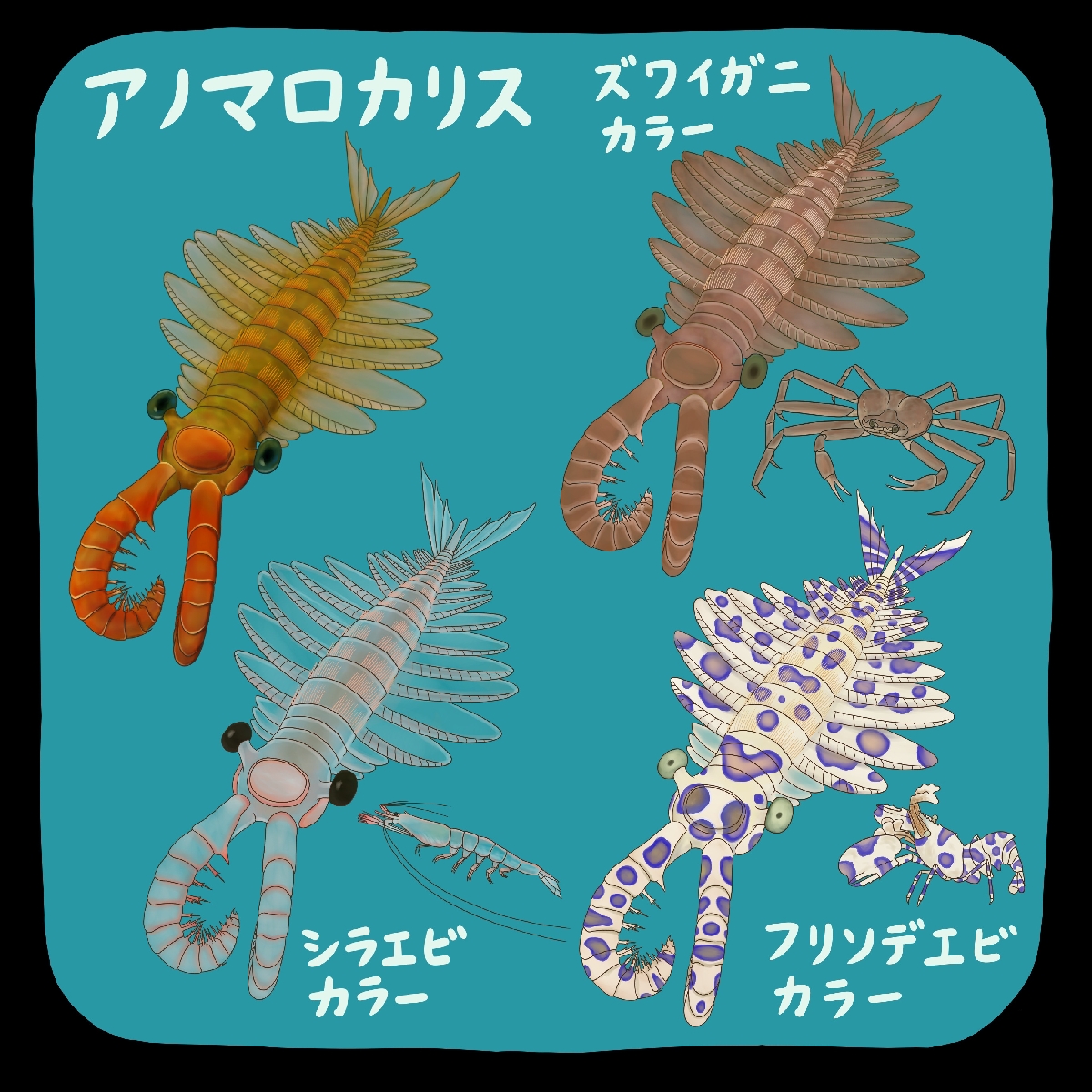 (c)迫野貴大
