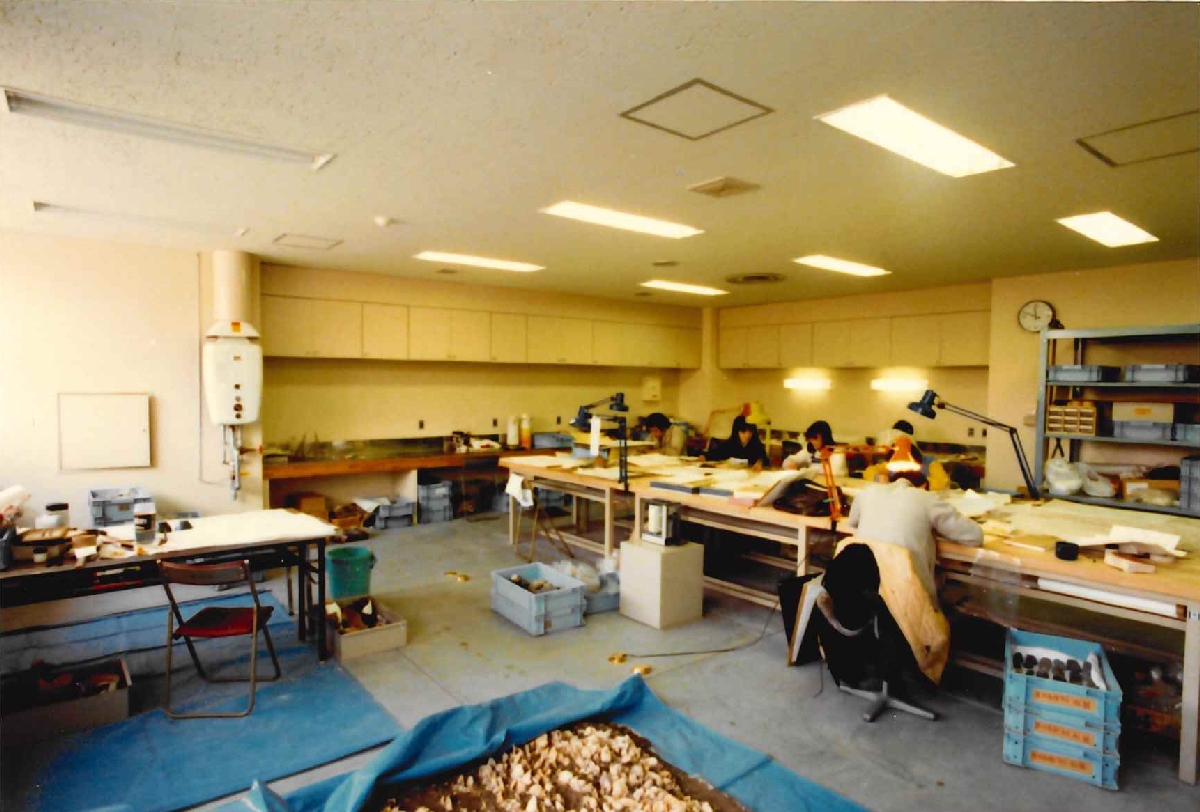 博物館作業室での出土品の整理作業の様子。根城跡で出土した遺物を隣接する博物館に搬入し、洗浄や接合、作図などの整理が行われた＝１９８３年