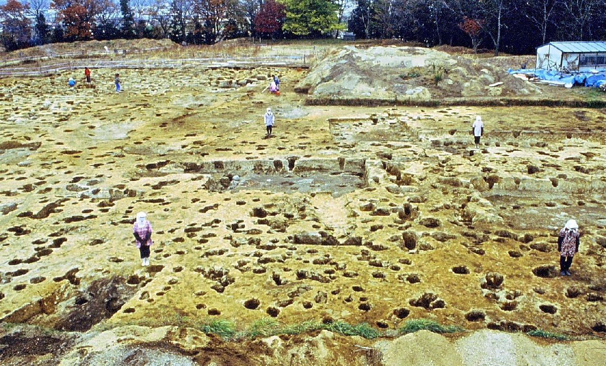 根城跡本丸での発掘調査。約２万個に及ぶ柱穴が検出され、一つ一つ平面図などの記録が作成され、掘立柱建物の間取りが復原された＝１９８２年