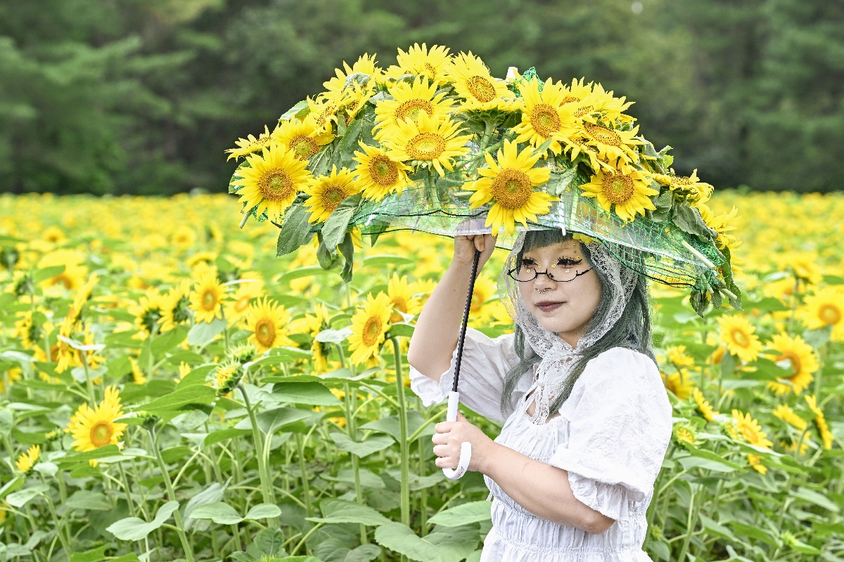 まつり期間中は、ヒマワリをあしらった撮影アイテムを貸し出している