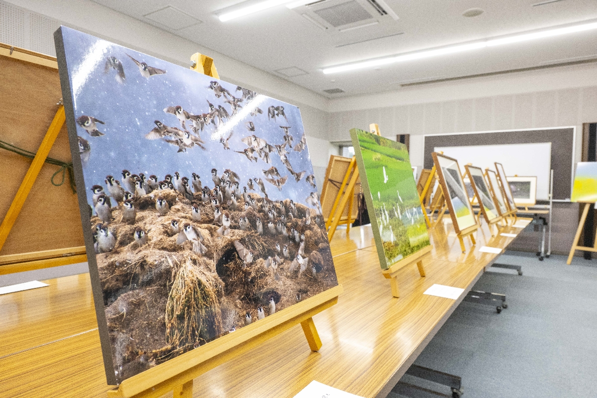 会場中央のテーブルには、パネル貼りや額入りの作品も並ぶ