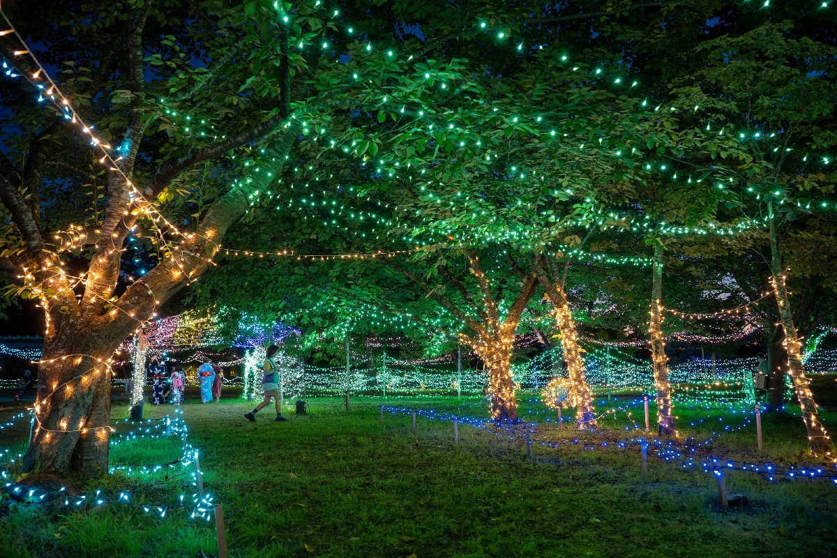 夏夜の愛宕公園を照らすイルミネーション＝７日午後７時１５分ごろ、野辺地町
