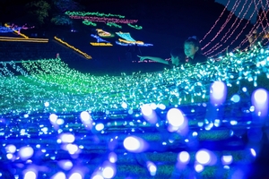 「夏に見るのもいいなあ」　愛宕公園で人気のイルミネーション／野辺地
