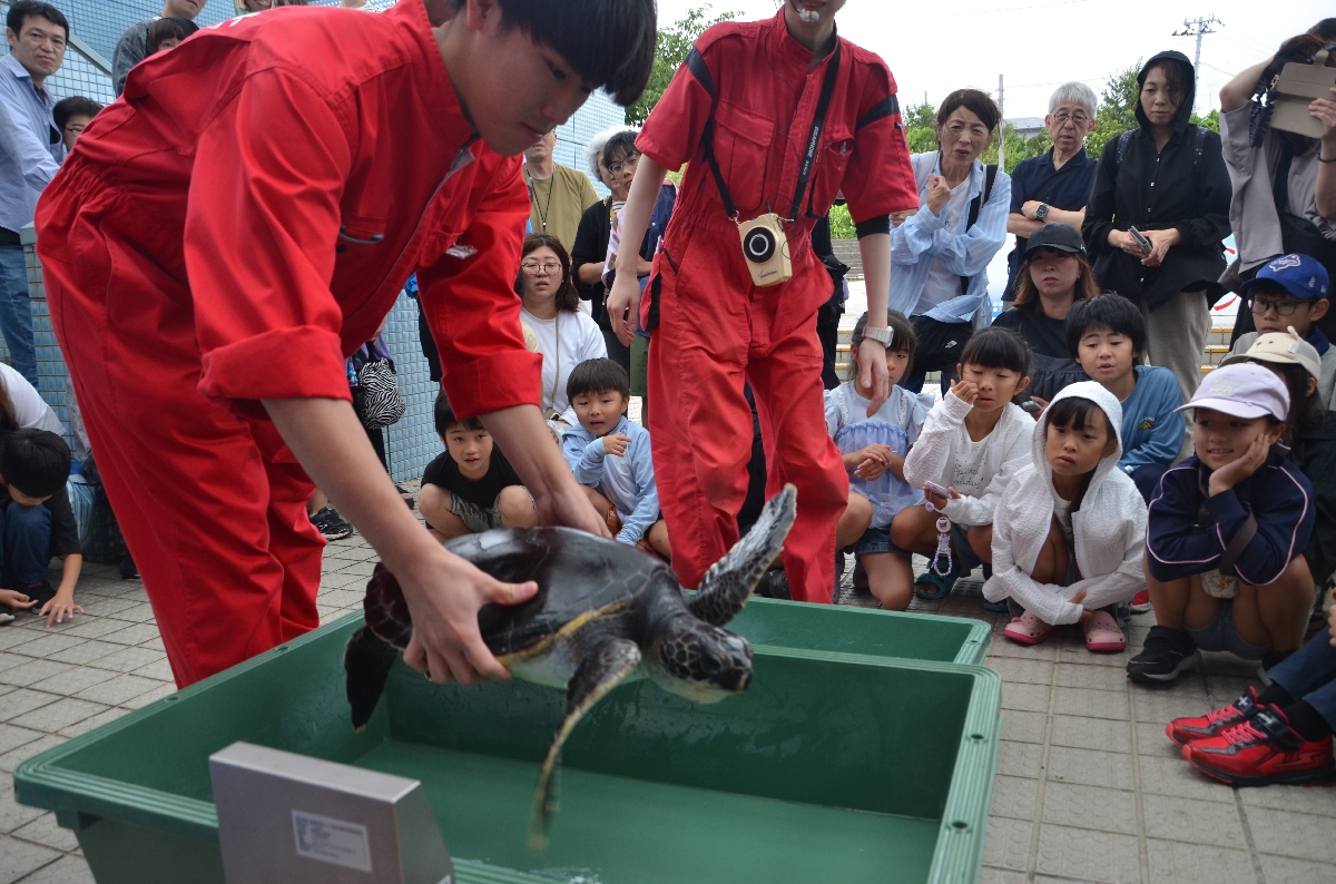 体重測定に臨む「ゆうき」