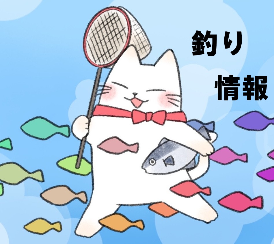 【釣り情報】