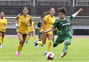 道南で高まるサッカー熱　プロ合宿、国際大会誘致