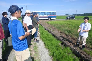 乾田直播推進へ　八戸市が情報共有会