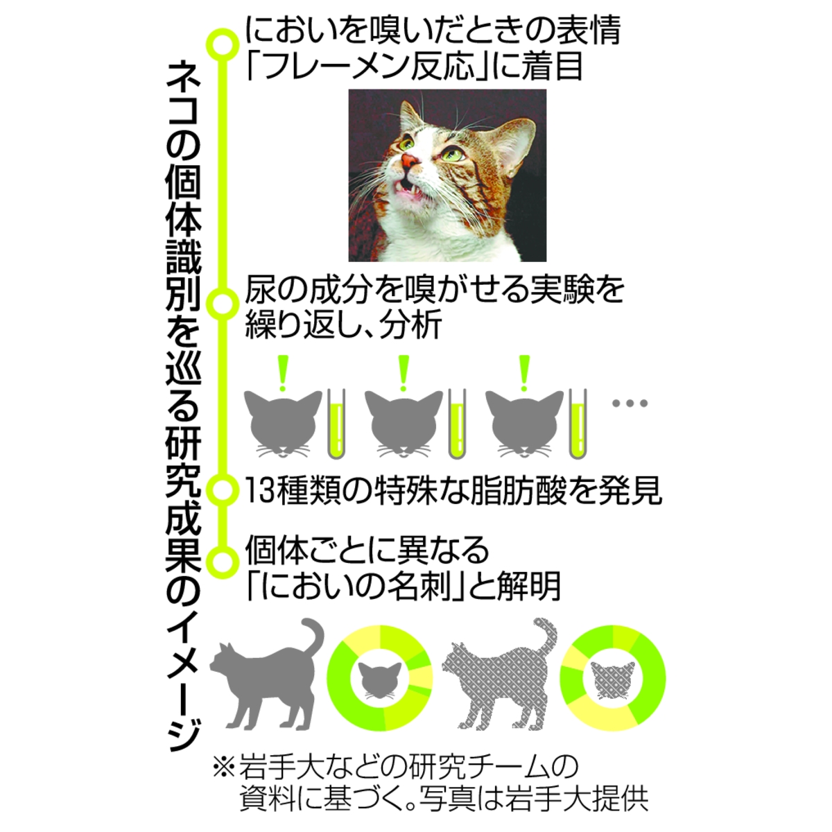 　ネコの個体識別を巡る研究成果のイメージ（写真は岩手大提供）