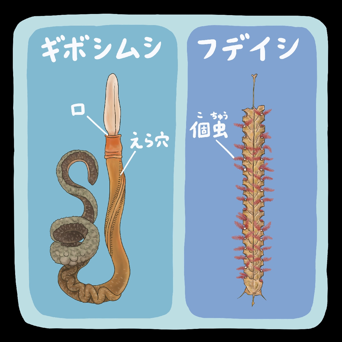 　（ｃ）迫野貴大