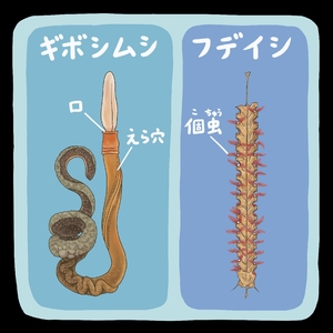 【古代のモンスター】群体で暮らすフデイシ　オルドビス紀に大繁栄／三上智之氏