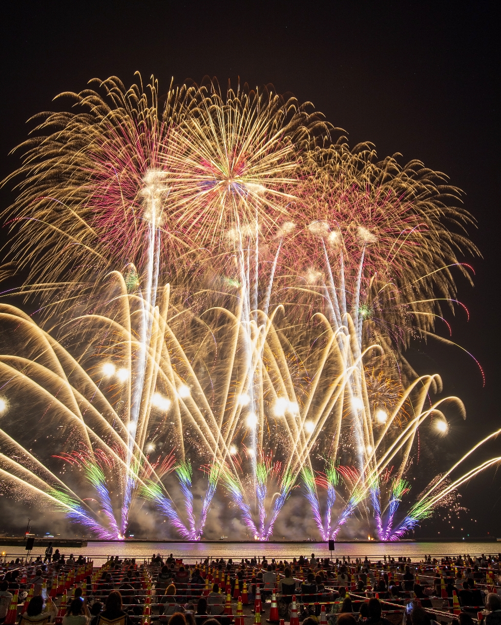 大輪の花火が多くの観客を魅了した八戸花火大会=22日、八戸市(岸山浩之撮影)