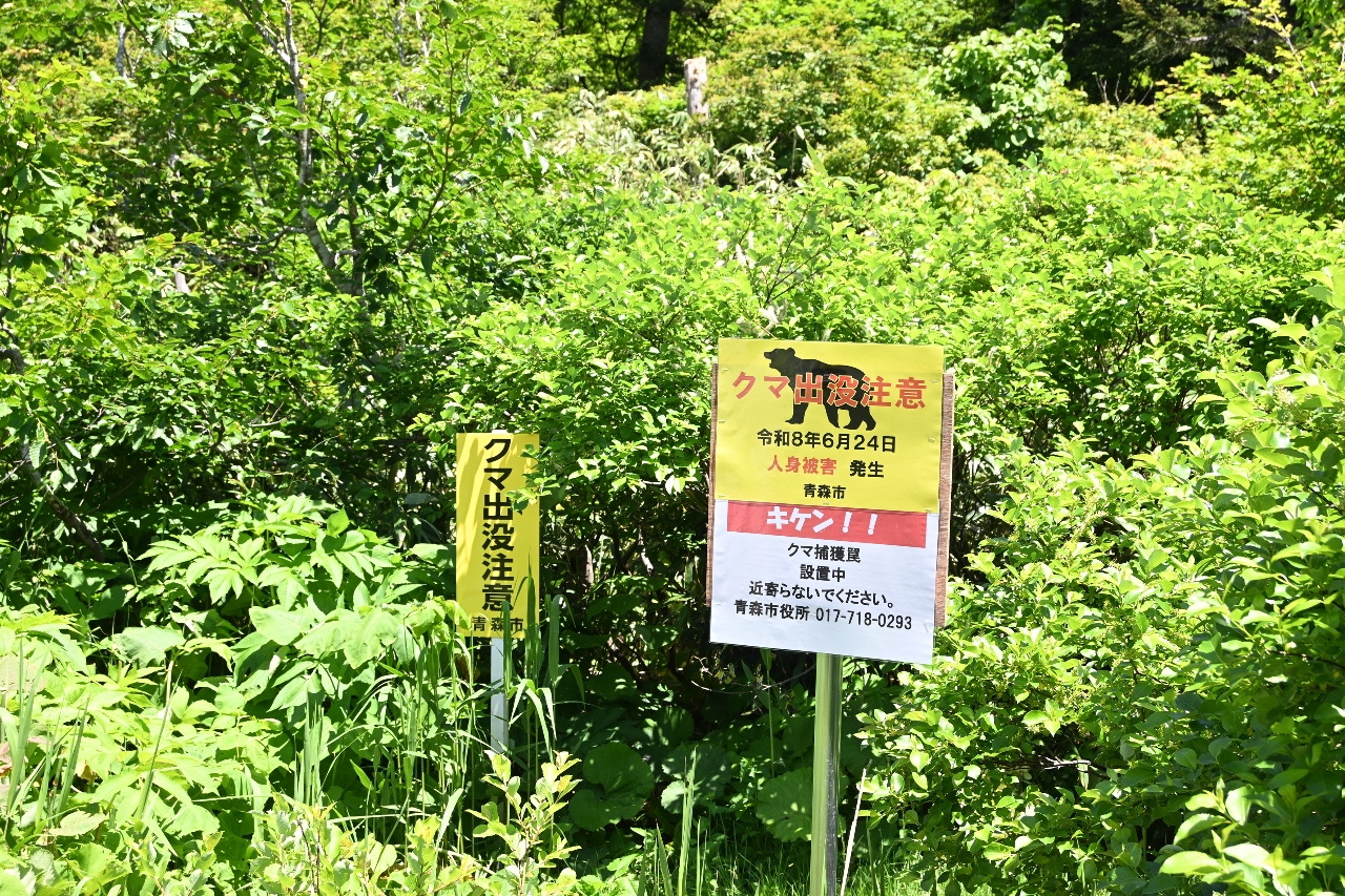 クマ人身被害、頭や顔に傷集中　弘前大専門医が警鐘「防御姿勢が重要」