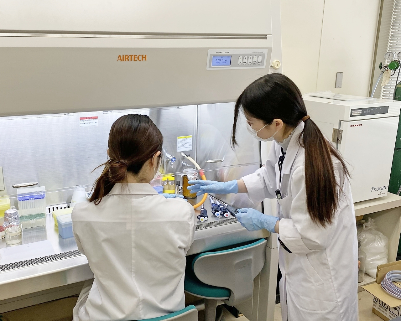 動物の腸内細菌について調べる細胞分子機能学研究室の学生（研究室提供）