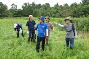 ぼんてん山の植生に理解　出戸地区で植物観察会／六ケ所
