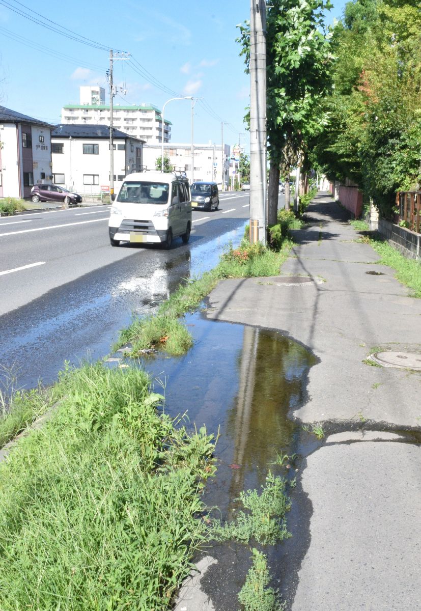 地下から水が湧き出ているゆりの木通りの一部区間=28日、八戸市