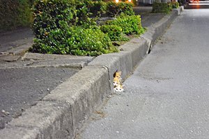 【写真探偵あどばるーん】今回の依頼人は・・・幻覚かと思ったさん（八戸市）