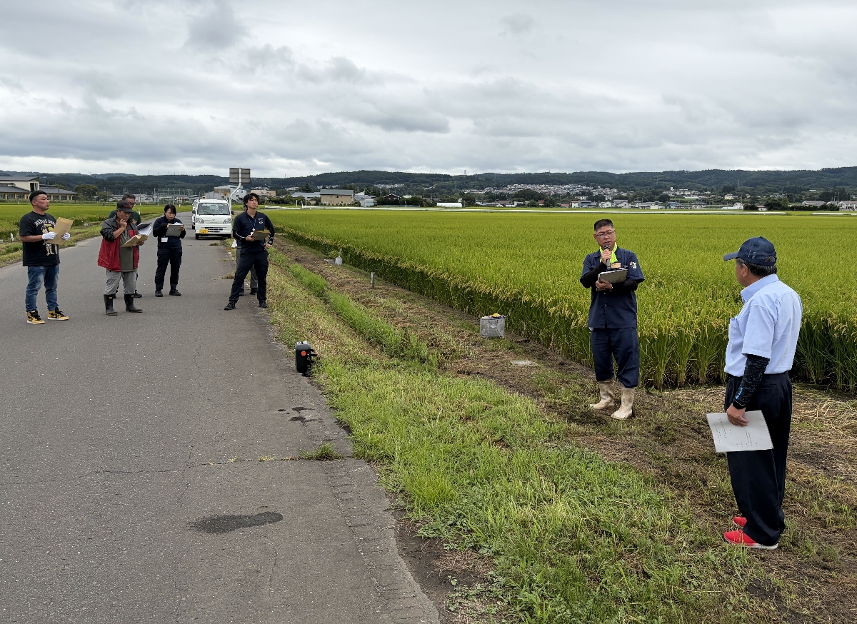 はれわたりの刈り取り適期は 南部町で現地検討会